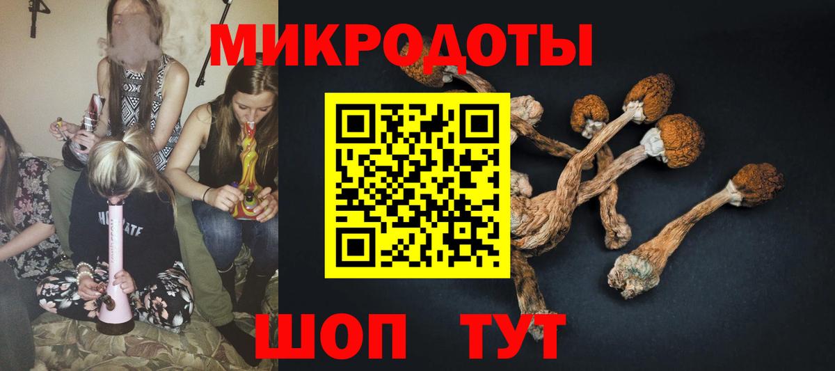 Галлюциногенные грибы Psilocybine cubensis Кызыл